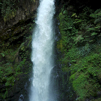 Photo de Rwanda - Nyungwe